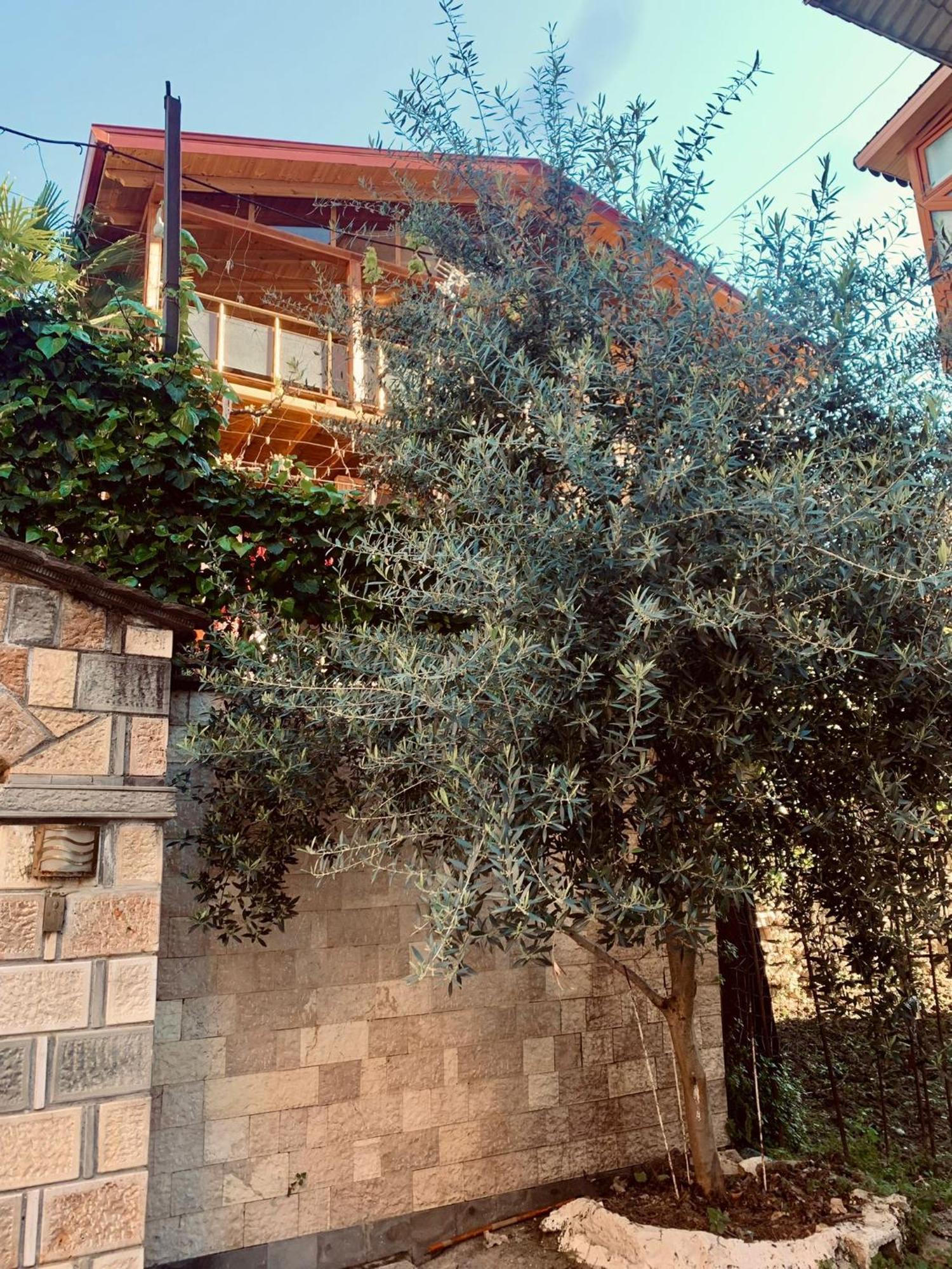 Alimeti Guesthouse Berat Exteriér fotografie